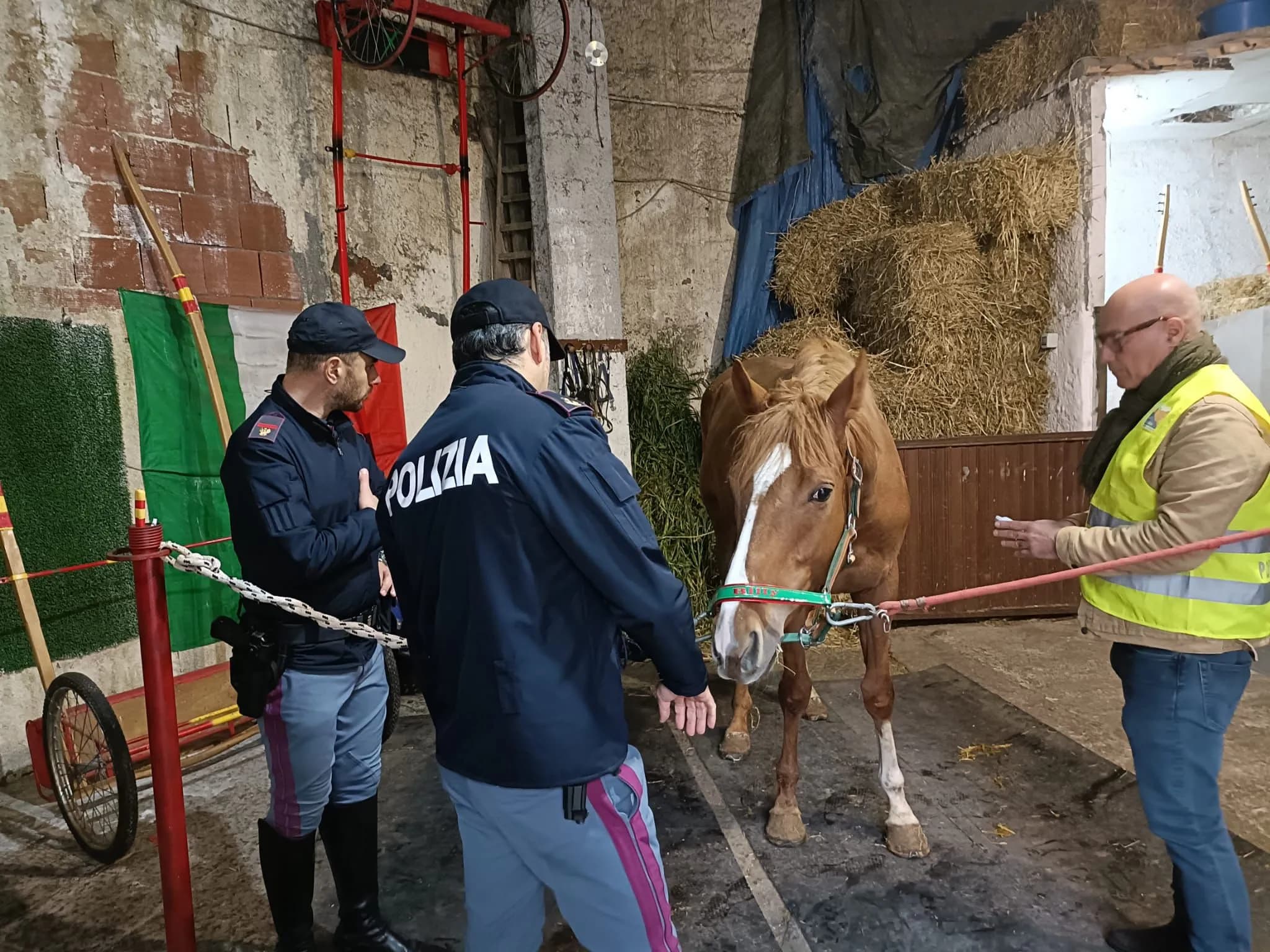 Stalle abusive e cavalli senza microchip: controlli nel quartiere catanese San Cristoforo