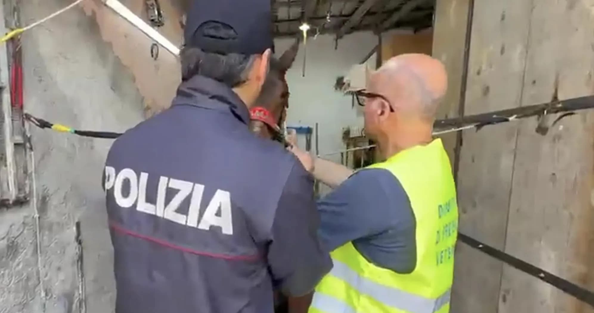 Polizia Catania/Corsa clandestina