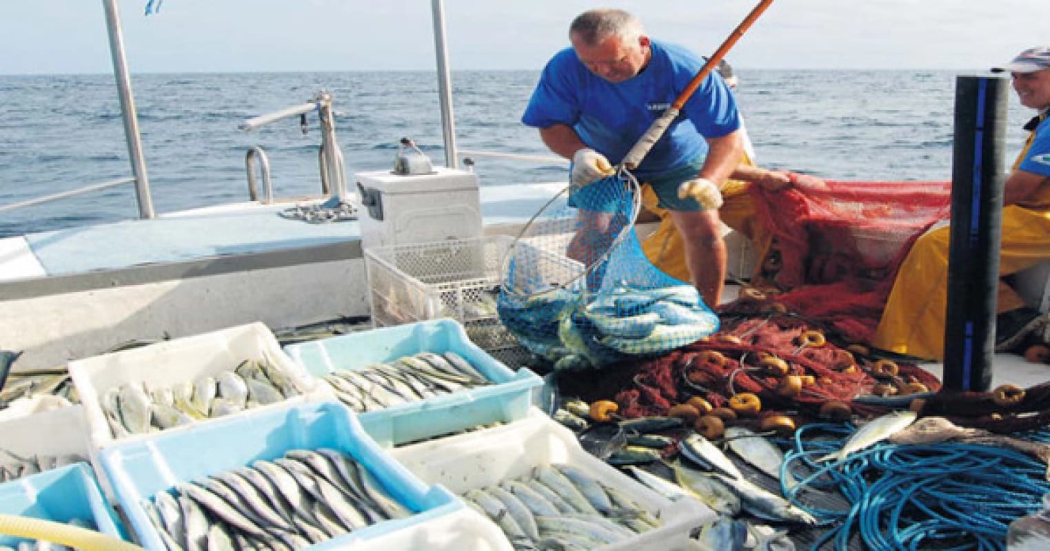 Pesca, approvata graduatoria del bando per sensibilizzazione al consumo di prodotti ittici siciliani
