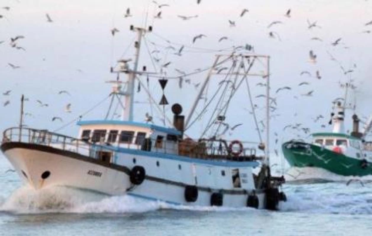 Pesca, bando da 15 milioni destinato alle piccole imbarcazioni