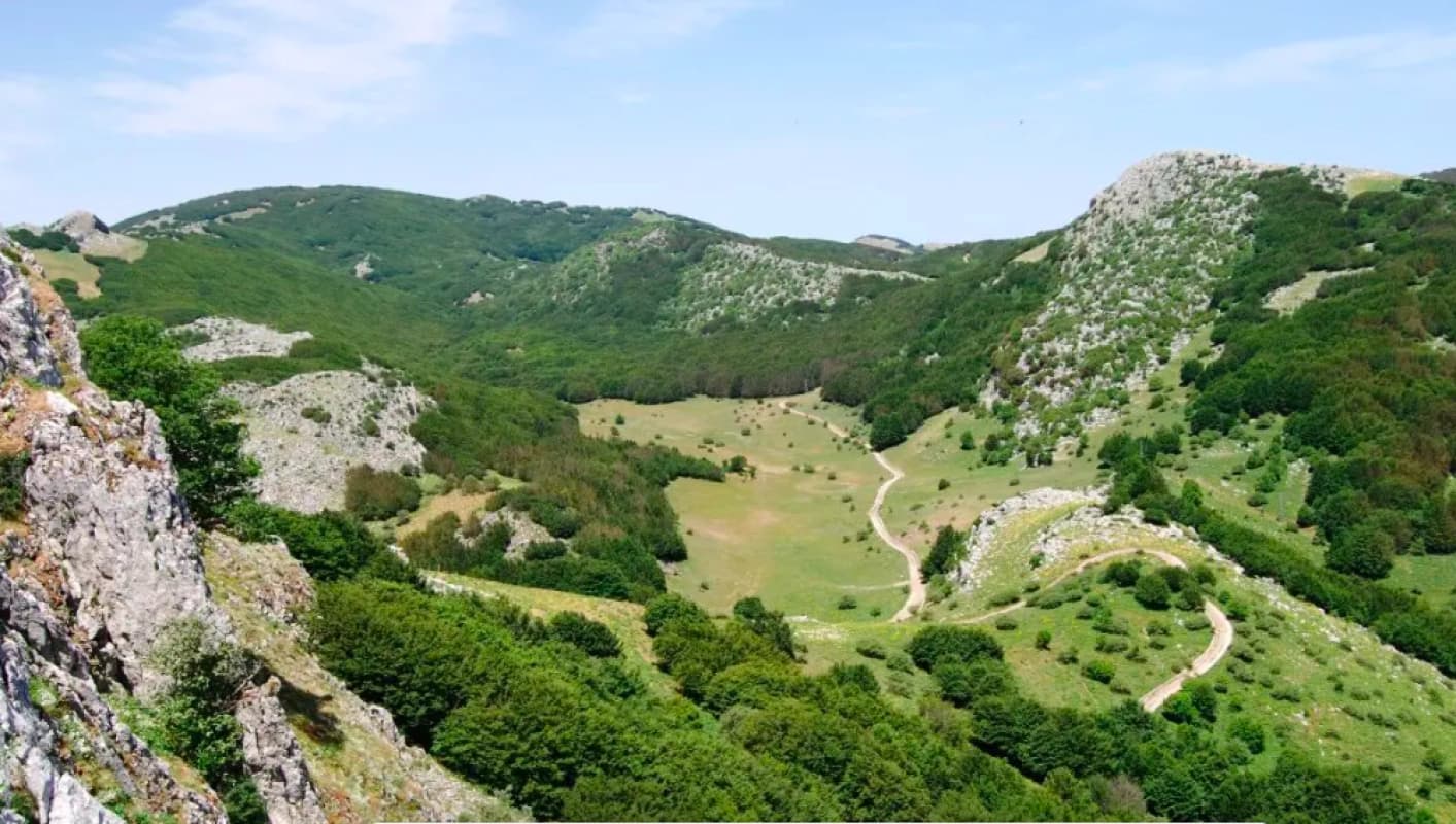 Caro vita, agricoltori minacciano di abbandonare i campi: la protesta sulle Madonie