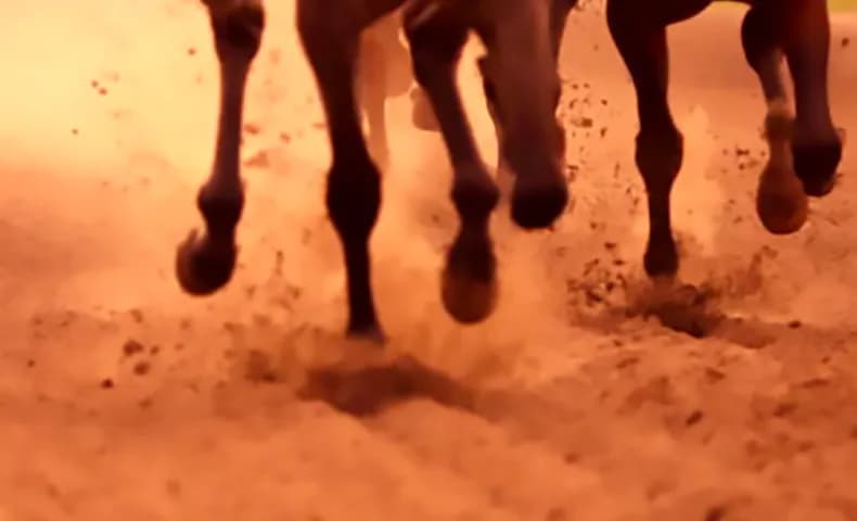 Corse clandestine all’interno di un ippodromo abusivo a Castelvetrano