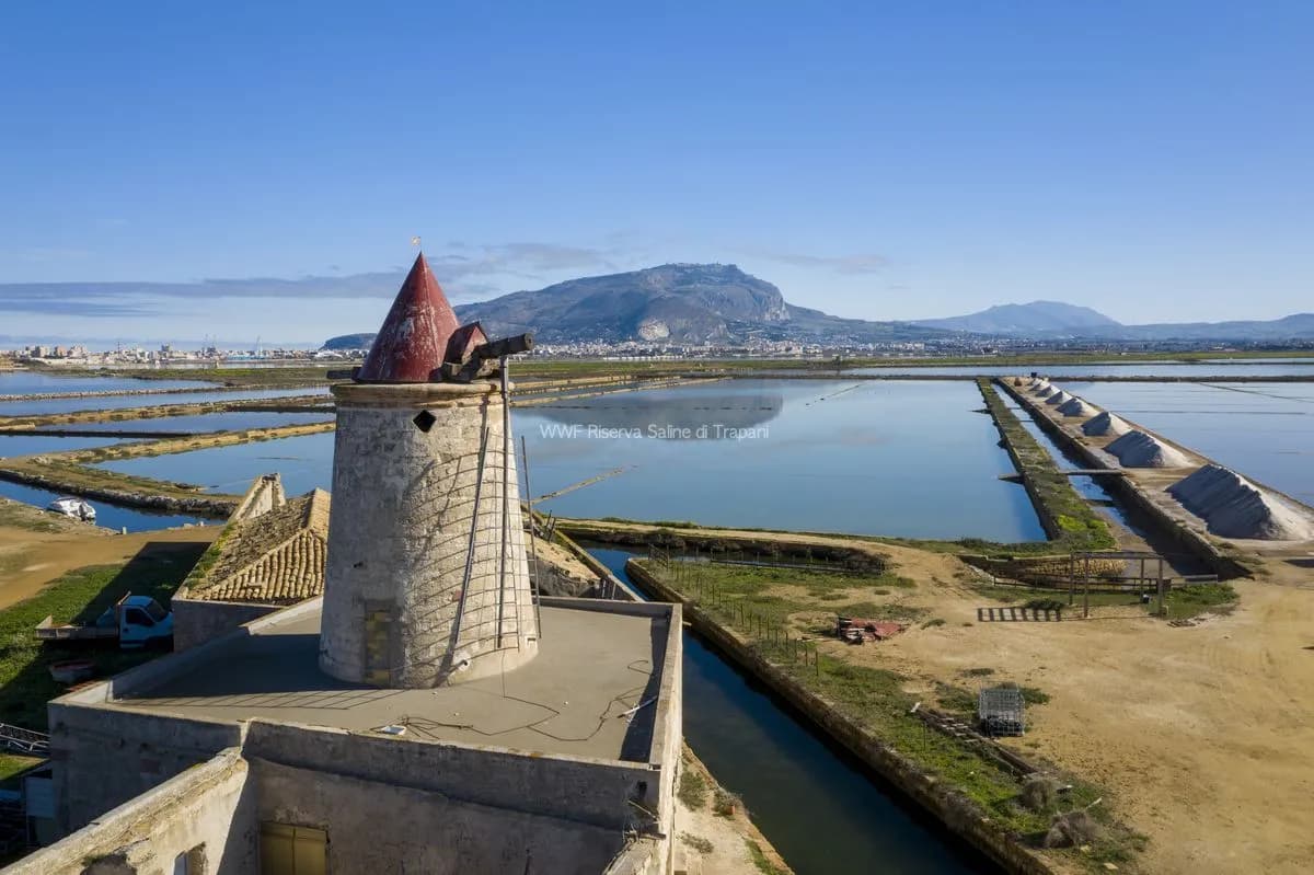 Saline di Sicilia verso il riconoscimento Unesco, Schifani e Savarino: “Regione sostiene la candidatura”